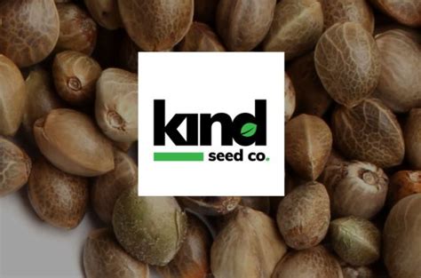 List Of Seed Banks Located In The Usa The Best Rated Seed Shops List Of Seed Banks Located In The Usa The Best Rated Seed Shops