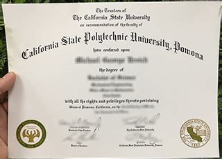 Mental Health Degree Cal Poly Pomona