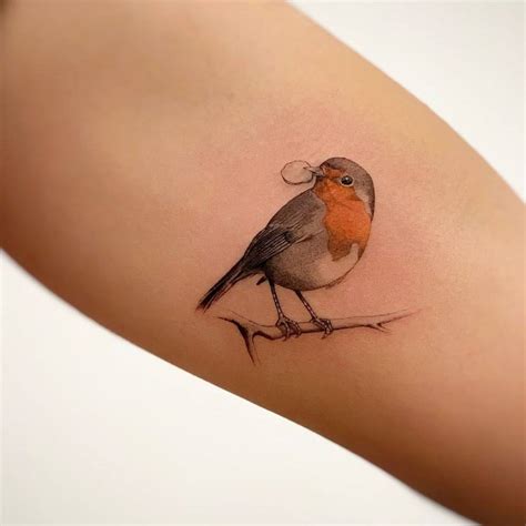 Micro Realistic Robin Tattoo On The Inner Arm