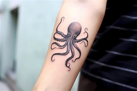 Octopus Tattoo Images Browse 20 567 Stock Photos Vectors And Video