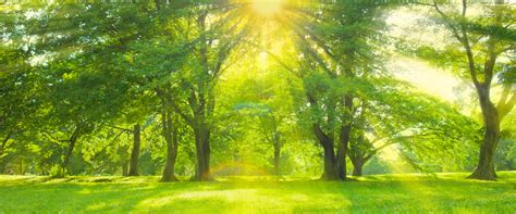 Unlocking Mysteries Outside of Time: A Journey Beyond Conventional Chronology