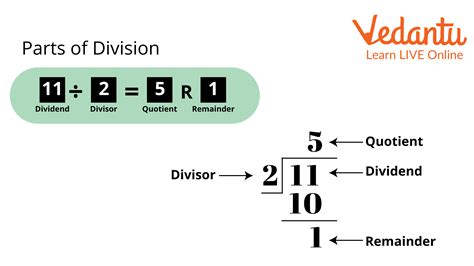 Uncover the Key Parts of a Division Problem for Better Math Understanding