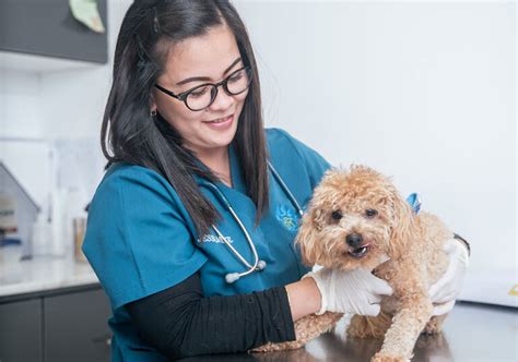 Pet Health Clinic