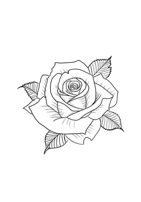 Pin By Cedric Rn On Dessin Tatouage Rose Tattoo Stencil Tattoo Pin By Cedric Rn On Dessin Tatouage Rose Tattoo Stencil Tattoo