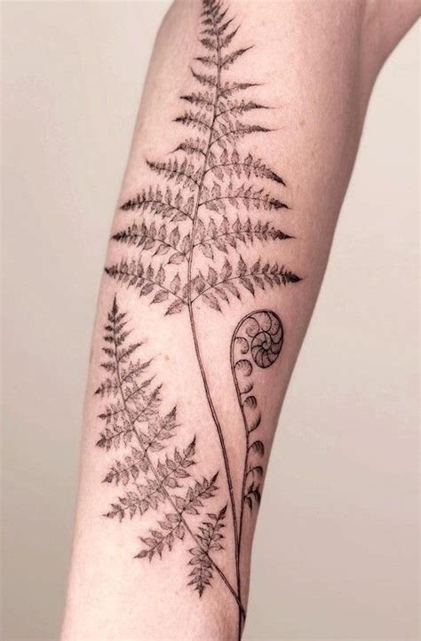 Pin By Cindy Fujimura On Tattoos Earthy Tattoos Fern Tattoo