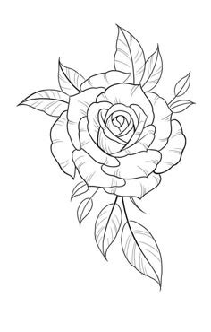 Pin By Stefannie Rust On Stencils Rose Drawing Tattoo Tattoo Stencil