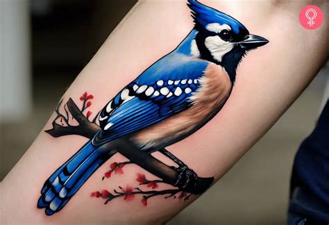 Pin On Jay Bird Tattoo