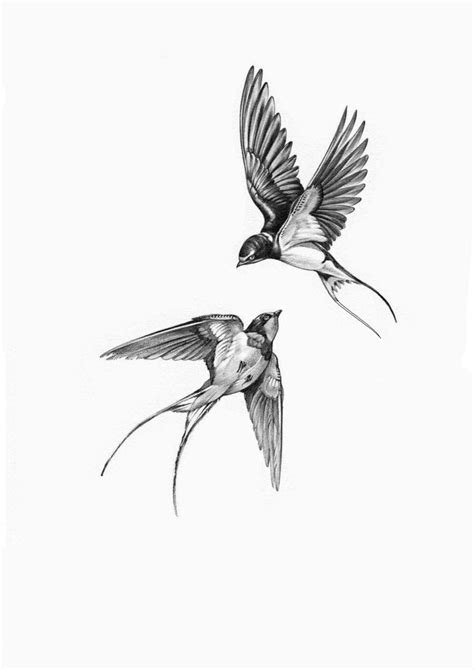Pin On My Saves Sparrow Tattoo Design Swallow Tattoo Design Swallow Tattoo Pin On My Saves Sparrow Tattoo Design Swallow Tattoo Design Swallow Tattoo