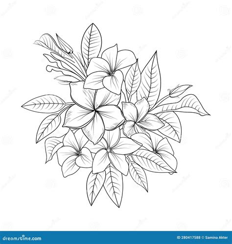 Polynesian Frangipani Tattoo Designs Araliya Flower Drawing Hand