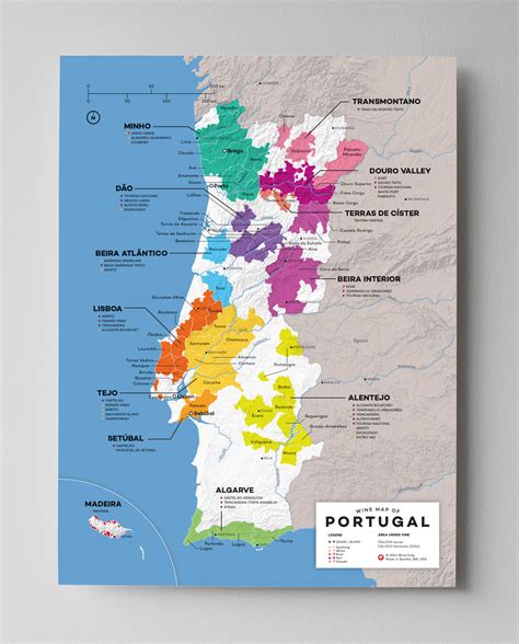 Discover Portugal Wine: Unforgettable Flavors and Stories
