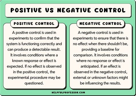 Positive Control vs Negative Control: The Essential Guide for Scientific Accuracy
