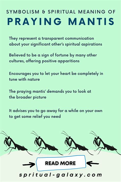 Praying Mantis Symbolism Unraveled: Discover Hidden Meanings and Mysteries