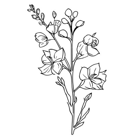 Premium Vector Larkspur Line Drawing Tattoo Delphinium Flower Drawing