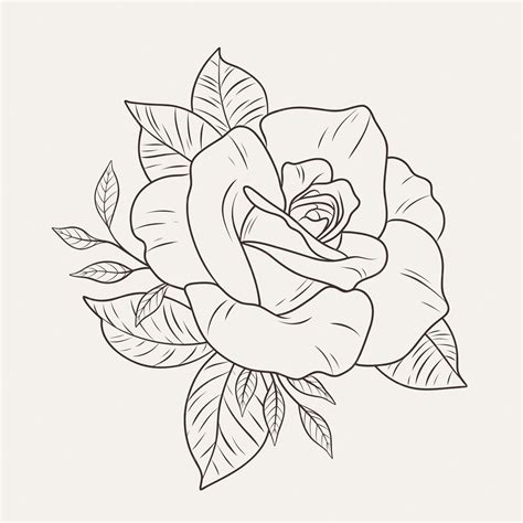 Rose Outline Design At Sascopyrightblog Blog Rose Outline Design At Sascopyrightblog Blog