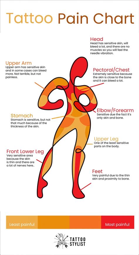 Scared Of Tattoo Pain Here Are The Facts You Need Tattoo Pain Chart Scared Of Tattoo Pain Here Are The Facts You Need Tattoo Pain Chart