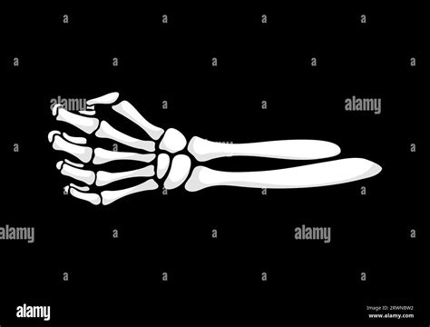 Skeleton Hand Gesture Isolated Vector Skeletal Arm Clenches Into A Skeleton Hand Gesture Isolated Vector Skeletal Arm Clenches Into A