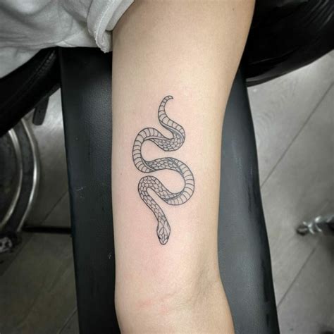 Snake Tattoo Small Snake Tattoo Snake Tattoo Design Traditional Snake Snake Tattoo Small Snake Tattoo Snake Tattoo Design Traditional Snake