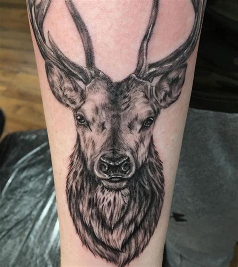 Stag Outline Tattoos Stag Outline Tattoos