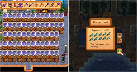 Stardew Valley Sturgeon