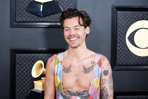 Tatouage Harry Styles 2024 Inside Harry Styles Amp 39 Incredible Tattoo