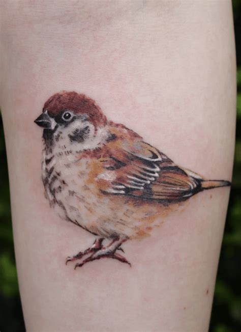 Tattoo Designs Of Sparrows