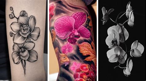 Tattoo Floral Merveilleux Tatouage Orchid E Et Signifcations