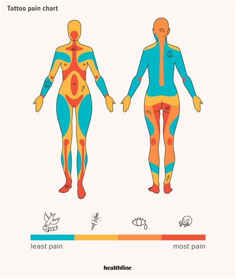 Tattoo Pain Chart Male Vs Female Educational Chart Resources