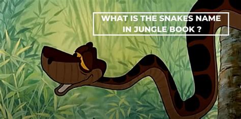 Snake's True Name: Jungle Book Mystery Revealed