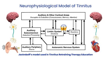 Tinnitus Retraining Therapy Near Me: Find Relief Today!