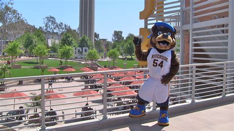 UC Riverside Mascot: Discover the Symbols Behind the Highlanders Spirit