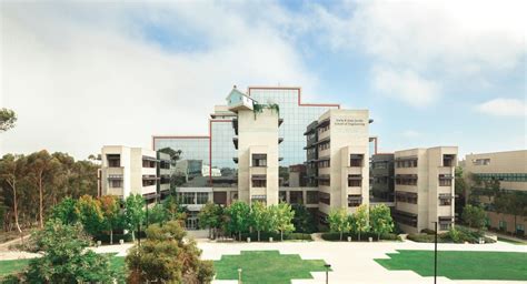 Ucsd Shool Of Pubic Health Faculty