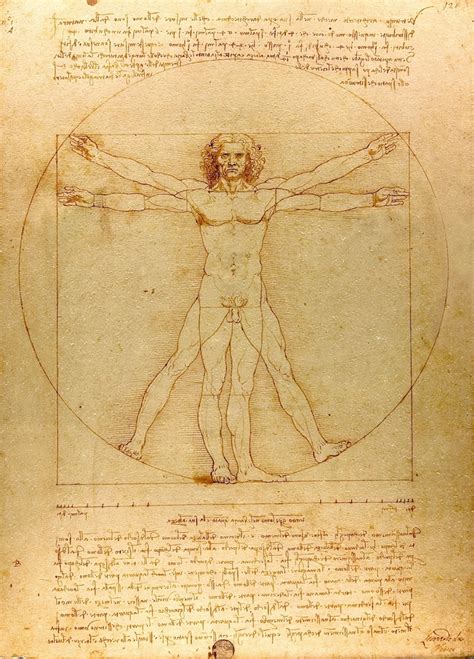 Vitruvian Man By Leonardo Da Vinci Vitruvian Man By Leonardo Da Vinci
