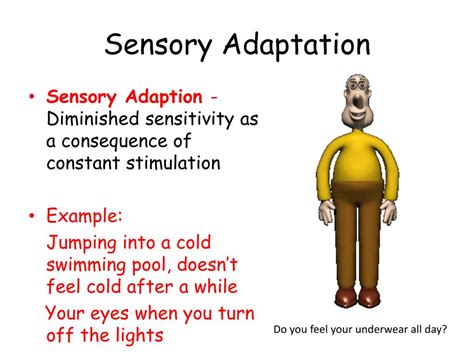 What Is Sensory Adaptation: Uncover Its Secrets!