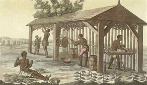 Exploring the Lands Covered by the Headright System