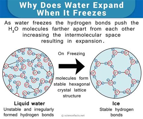 When Does Water Freeze: Key Insights Unveiled