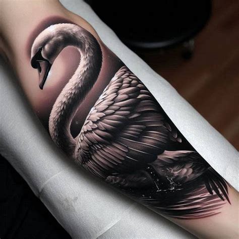 White And Black Swan Tattoos And History Swan Tattoo Meanings Swan