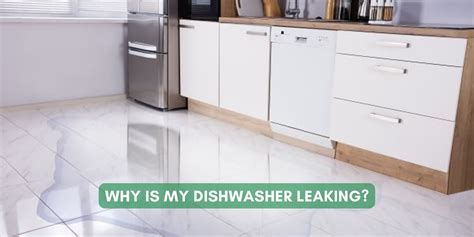 Why Is The Bottom Of My Dishwasher Leaking At Will Erin Blog