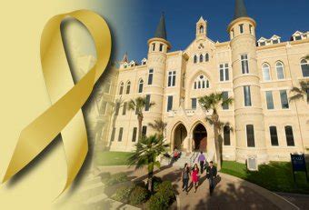 Yellow Ribbon Schools In Texas Yellow Ribbon
