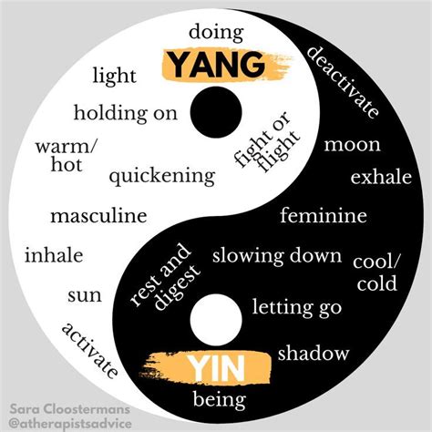 Yin Yang Meaning Yin Yang Paradise